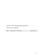 Referāts 'Pacienta aprūpes plāns', 20.