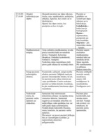 Referāts 'Pacienta aprūpes plāns', 21.