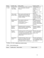 Referāts 'Pacienta aprūpes plāns', 24.