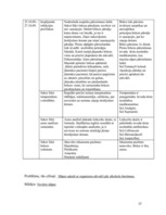 Referāts 'Pacienta aprūpes plāns', 25.