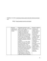 Referāts 'Pacienta aprūpes plāns', 28.