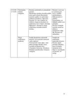 Referāts 'Pacienta aprūpes plāns', 32.