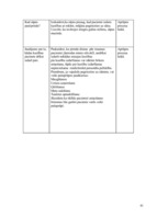 Referāts 'Pacienta aprūpes plāns', 41.