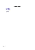 Referāts 'E-komersanti', 14.