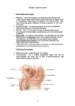 Referāts 'Dzimumattiecības un to izraisītās slimības', 6.