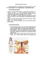 Referāts 'Dzimumattiecības un to izraisītās slimības', 7.