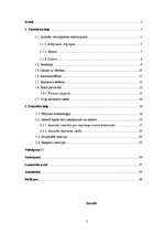 Referāts 'Jauniešu ārējā pievilcīguma ideāls', 2.