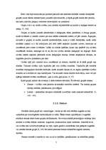 Referāts 'Jauniešu ārējā pievilcīguma ideāls', 7.