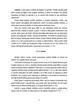 Referāts 'Jauniešu ārējā pievilcīguma ideāls', 8.