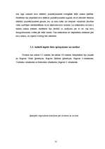 Referāts 'Jauniešu ārējā pievilcīguma ideāls', 16.