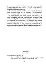 Referāts 'Jauniešu ārējā pievilcīguma ideāls', 35.