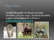 Prezentācija 'Āzijas valsts Mongolija', 7.
