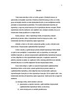 Referāts 'Starptautiskās uzņēmējdarbības diplomātija', 3.