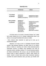 Referāts 'Starptautiskās uzņēmējdarbības diplomātija', 12.