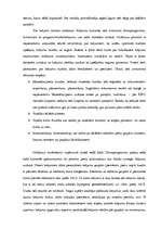 Prakses atskaite 'Prakses atskaite "Rīgas Piena kombināta" darbība', 9.