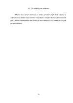 Prakses atskaite 'Prakses atskaite "Rīgas Piena kombināta" darbība', 19.