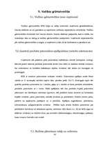 Prakses atskaite 'Prakses atskaite "Rīgas Piena kombināta" darbība', 33.