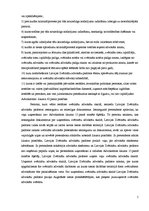 Referāts 'Brīvo juridisko profesiju kopīgās un atšķirīgās īpašības', 5.