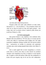 Referāts 'Sirds un asinsrites orgānu sistēma', 12.