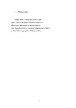 Konspekts 'Gaisa kuģu Systron-Donner pneimatiskais uguns detektors', 7.