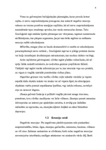 Referāts 'Emocionālā inteliģence', 6.