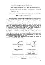 Diplomdarbs 'Tēmas "Skaitļu 8 un 9 pieskaitīšana un atņemšana" apguve 2.klasē', 17.