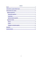 Referāts 'Grāmatvedības bilances aktīva konti', 2.