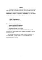 Referāts 'Grāmatvedības bilances aktīva konti', 3.