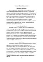 Referāts 'Grāmatvedības bilances aktīva konti', 5.