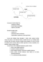 Prakses atskaite 'Prakse VAS "Latvijas Pasts"', 7.