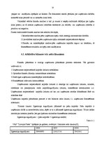 Prakses atskaite 'Prakse VAS "Latvijas Pasts"', 17.