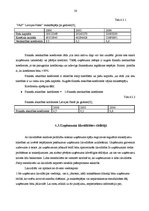 Prakses atskaite 'Prakse VAS "Latvijas Pasts"', 19.