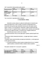 Prakses atskaite 'Prakse VAS "Latvijas Pasts"', 24.