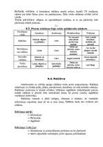 Referāts 'Tautsaimniecību nozaru ekonomika - tirdzniecība', 12.