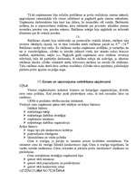 Referāts 'Tautsaimniecību nozaru ekonomika - tirdzniecība', 14.