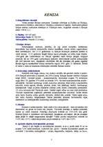 Referāts 'Kenija', 3.