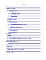 Referāts 'Ziepju ražošana', 2.