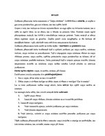 Referāts 'Ziepju ražošana', 3.