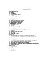 Prakses atskaite 'Prakses dienasgrāmata', 9.