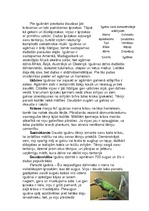 Referāts 'Iguānas', 2.