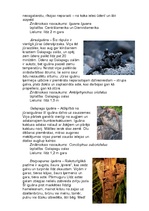 Referāts 'Iguānas', 3.