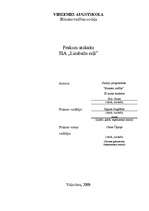 Prakses atskaite 'Prakses atskaite SIA "Limbažu ceļi"', 1.