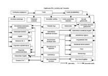 Prakses atskaite 'Prakses atskaite SIA "Limbažu ceļi"', 7.