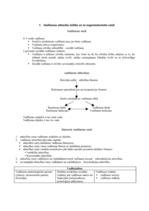 Konspekts 'Eksāmens menedžmentā', 2.