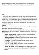 Paraugs '4.maija pasākuma scenārijs', 3.