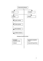 Konspekts 'Starptautiskā strīda jēdziens un tā mierīgas noregulēšanas tiesiskais regulējums', 4.