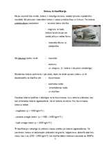 Referāts 'Betons', 3.