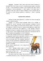 Referāts 'Betons', 6.