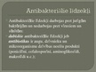 Prezentācija 'Dabiskie antibakteriālie līdzekļi', 2.