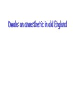Konspekts 'Dwale: an Anaesthetic in Old England', 1.